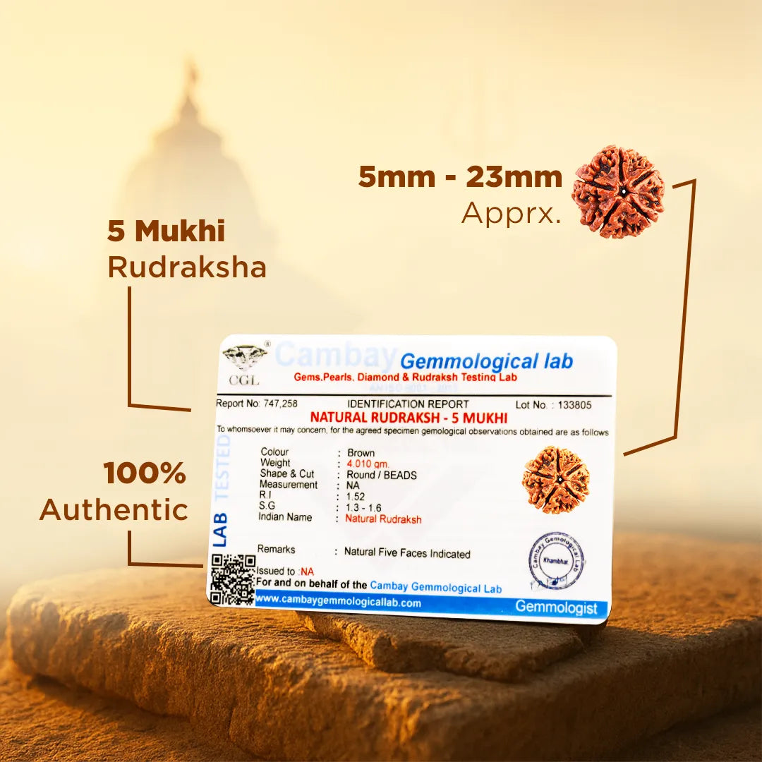 5 Mukhi Rudraksh