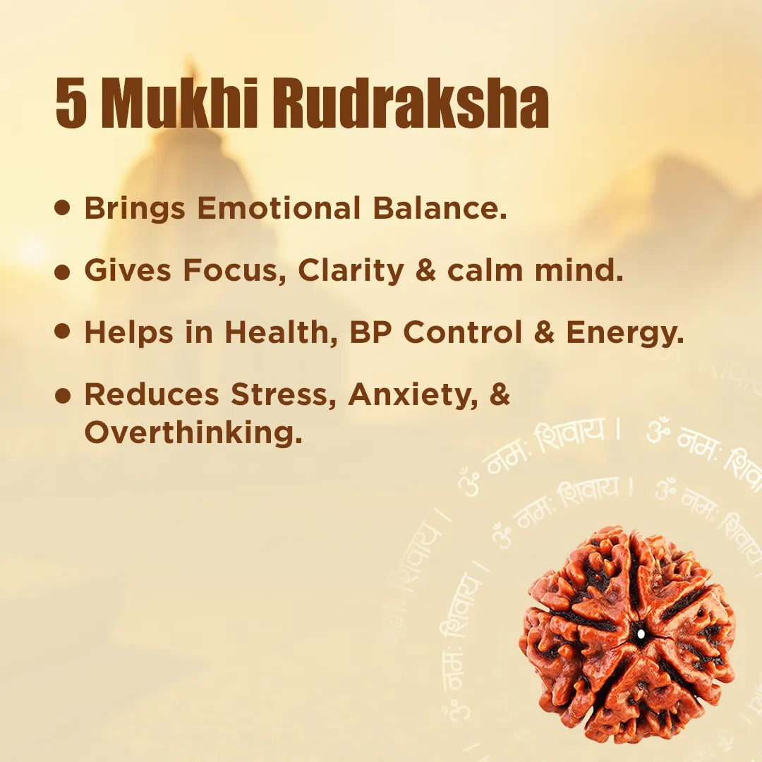 5 Mukhi Rudraksh