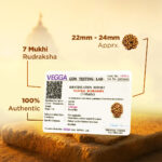 7 Mukhi Laxmi Rudraksh - Image 2