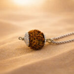 7 Mukhi Laxmi Rudraksh - Image 4